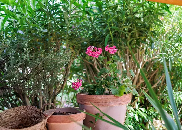 Traditional House By The Sea